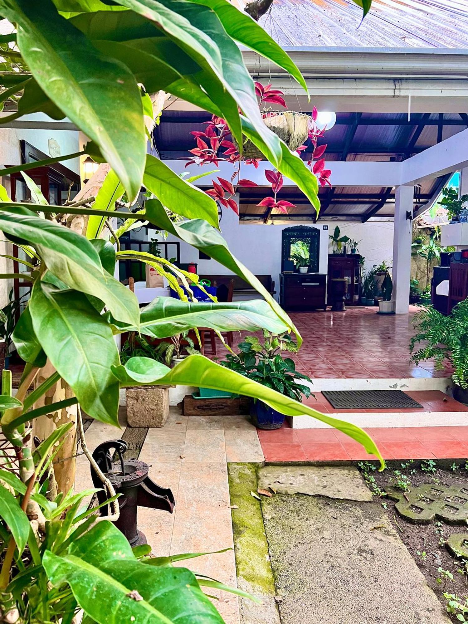 Auntie Gigi'S Place Tagaytay City Εξωτερικό φωτογραφία